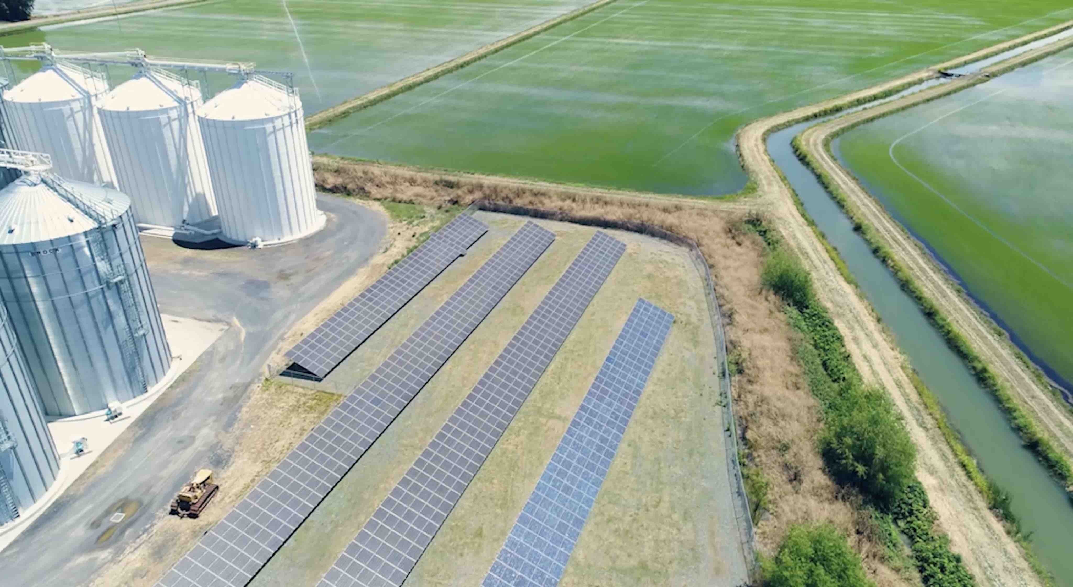 Solar panels, rice bins, and green rice fields at Lundberg Family Farms.