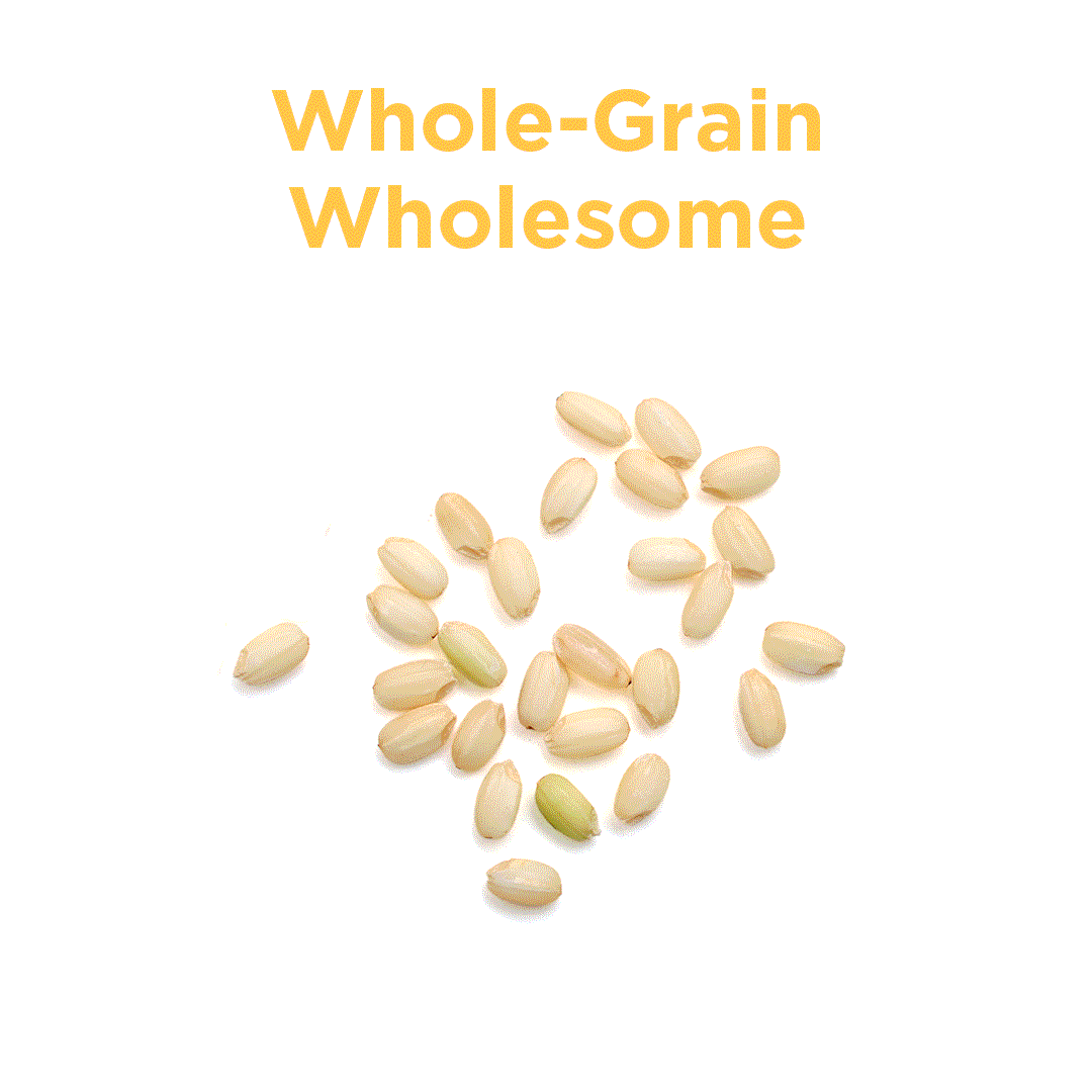 Whole-Grain Wholesome, Fiber-Filled Bran, Packed with Nutrients