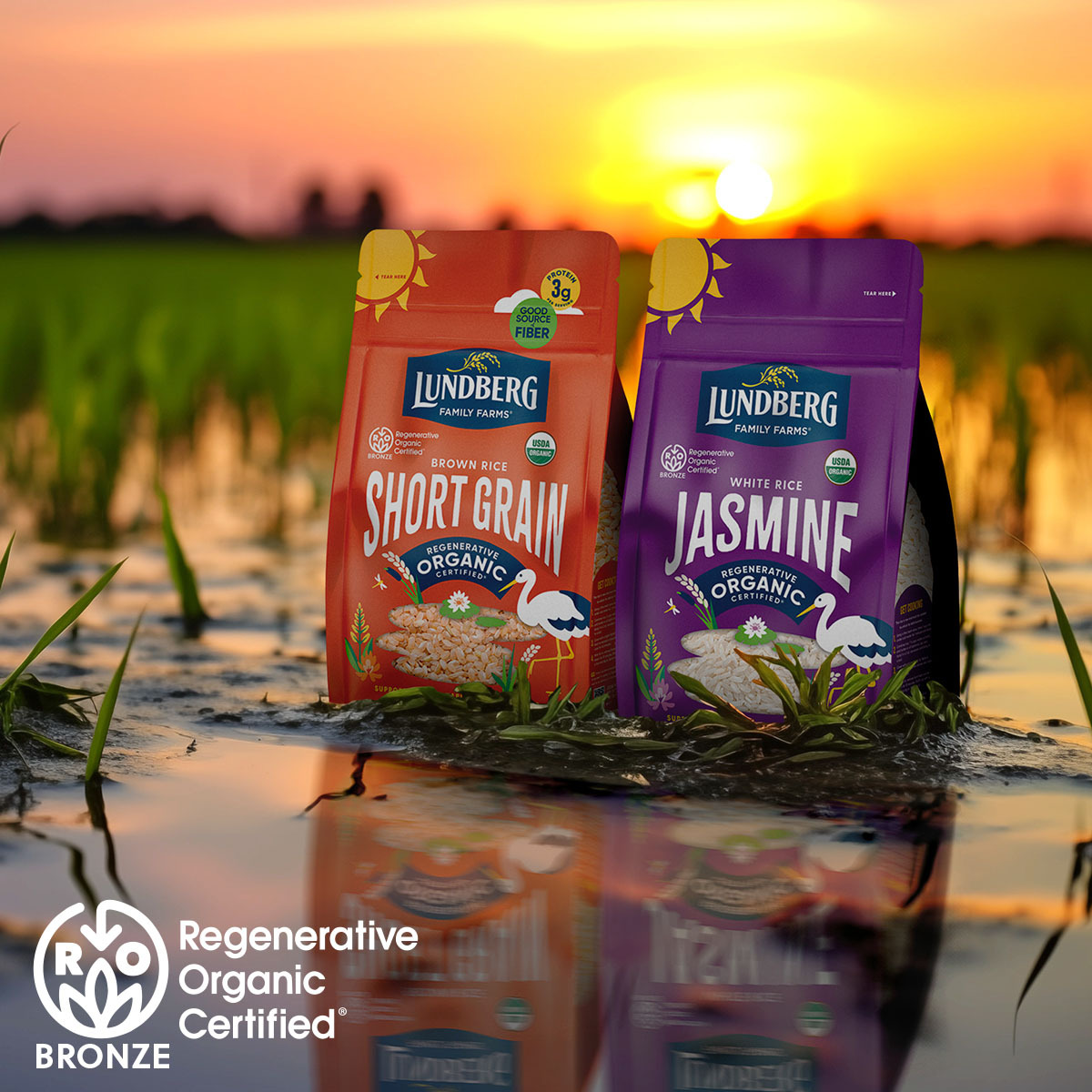Regenerative Organic Certified rice in a field